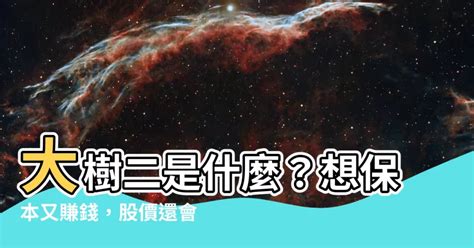 大樹二是什麼|可轉換公司債是什麼？大戶保本又可套利，對股價有什麼影響？